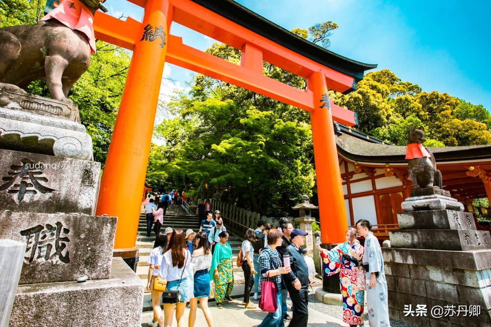 京都伏见稻荷神社可以爬一半吗,京都之旅