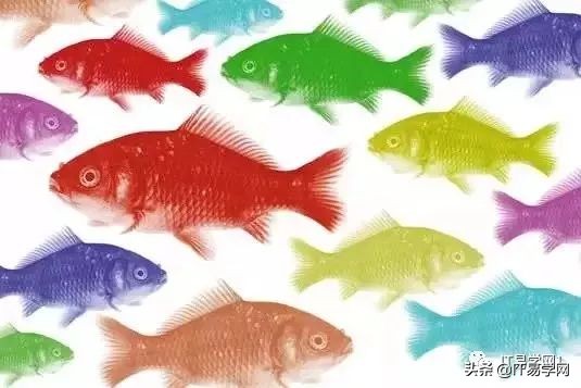 ps100个技巧视频,ps办公室实用技巧