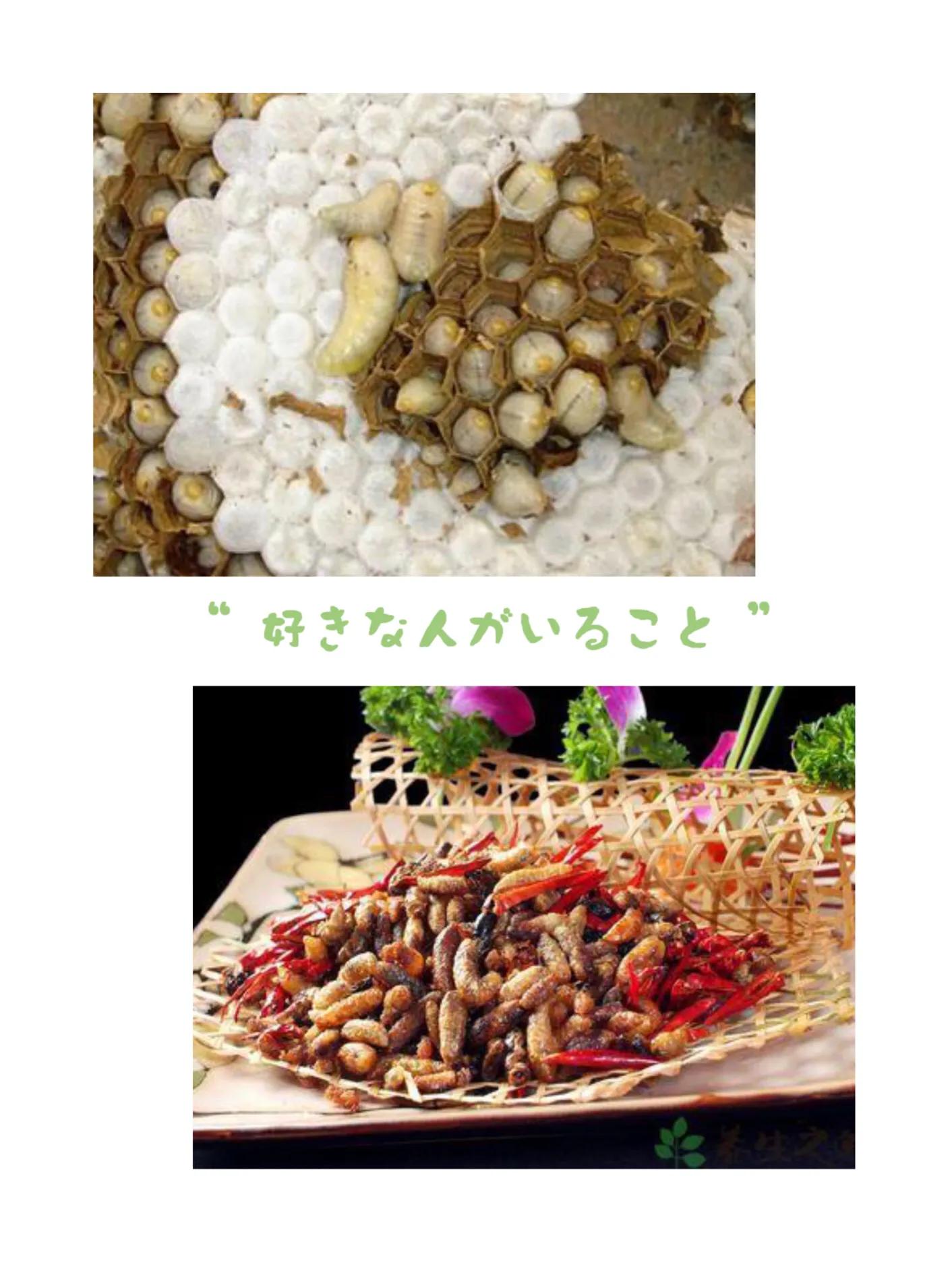 你们吃过哪些虫子,全是虫你们敢吃吗