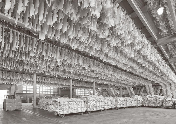 微胖女生雪地靴穿搭雷区,雪地靴避开的雷区