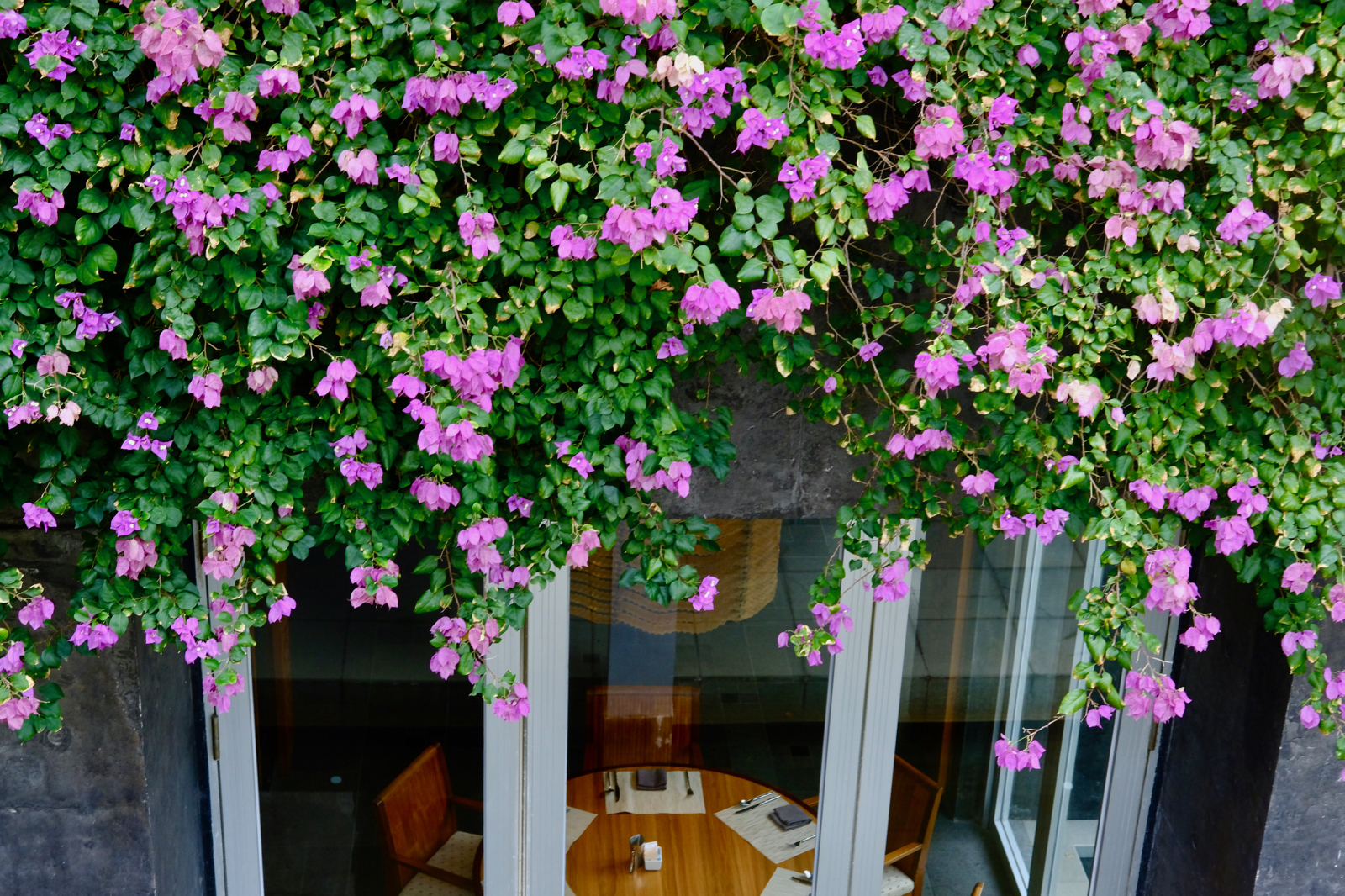 三亚旅行笔记|才刚离开,就开始期待下一次