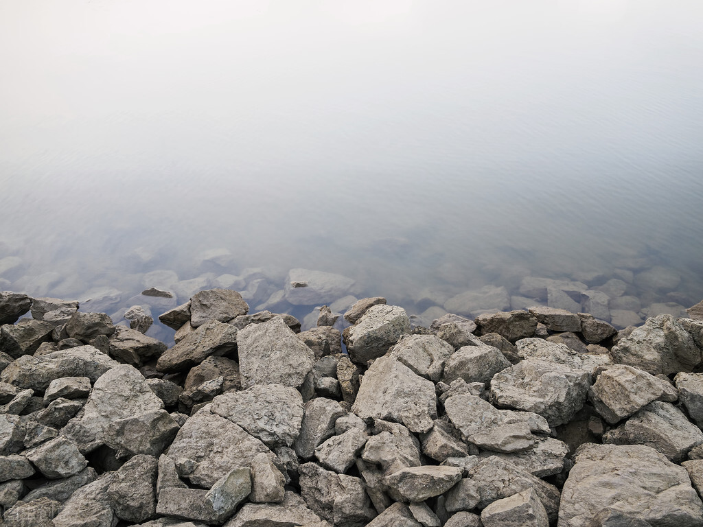 下雨过后钓鲶鱼最好的钓点,钓鲶鱼的神仙钓点在哪里