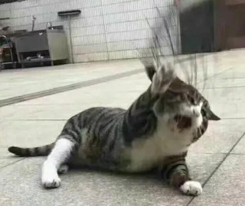 倚天剑出！你要的国际酒类认证ISG课程来了