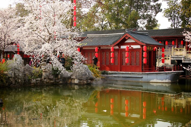 鑻遍泟褰掓潵妯辫姳鏈夌害,妯辫姳鐩涘紑鑻遍泟褰掓潵瀹屾暣瑙嗛