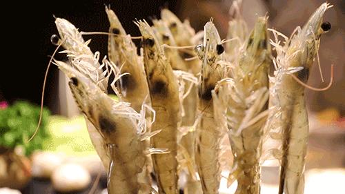 要德火锅专场直播徐州,徐州要德火锅抖音探店