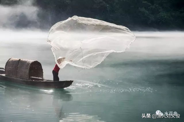 池塘拉网捕鱼完整版,池塘抬网捕鱼技巧