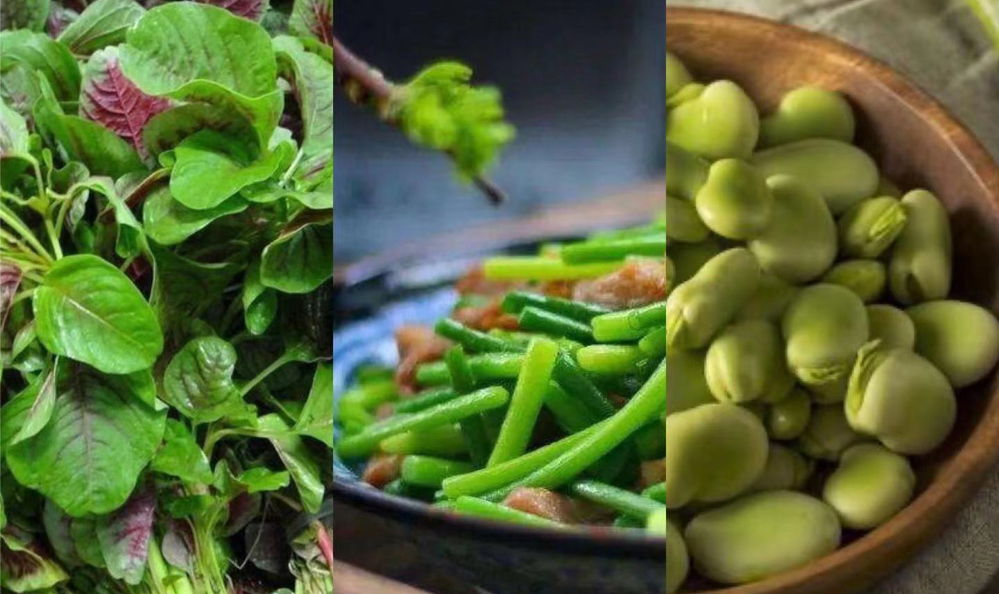 二十四节气立夏ppt课件免费,二十四节气立夏视频