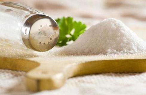 贵宾犬是禁区吗,养贵宾犬注意事项