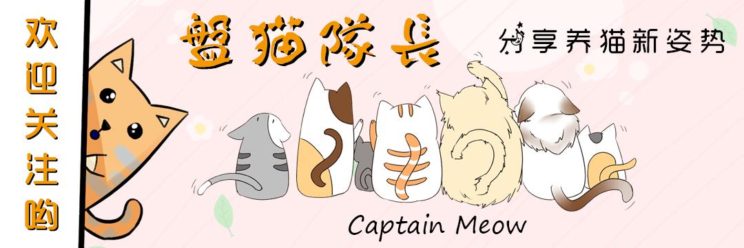 过量地给猫咪补充维生素A,会让猫咪患上“维生素A中毒症”哦