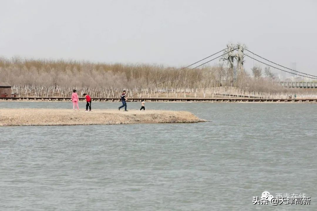 天津即将完工的公园,天津2022年四月开放的公园