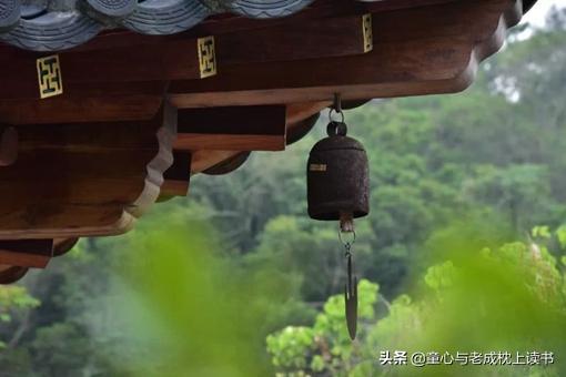 《抬高房梁，木匠们；西摩：小传》，如何在俗世中过隐居生活？