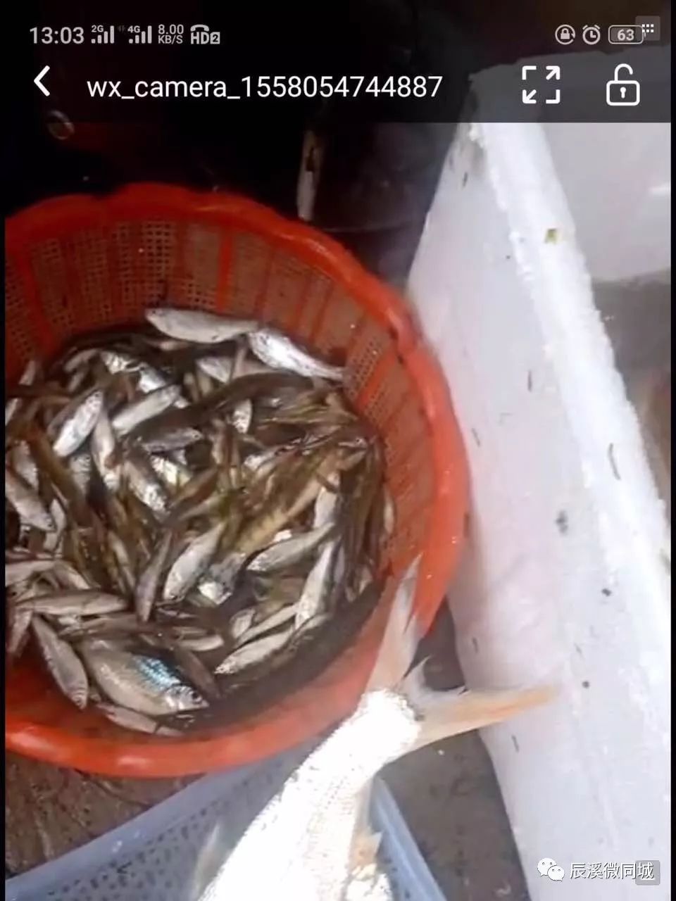 辰溪房地产招聘,辰溪招聘社会工作者