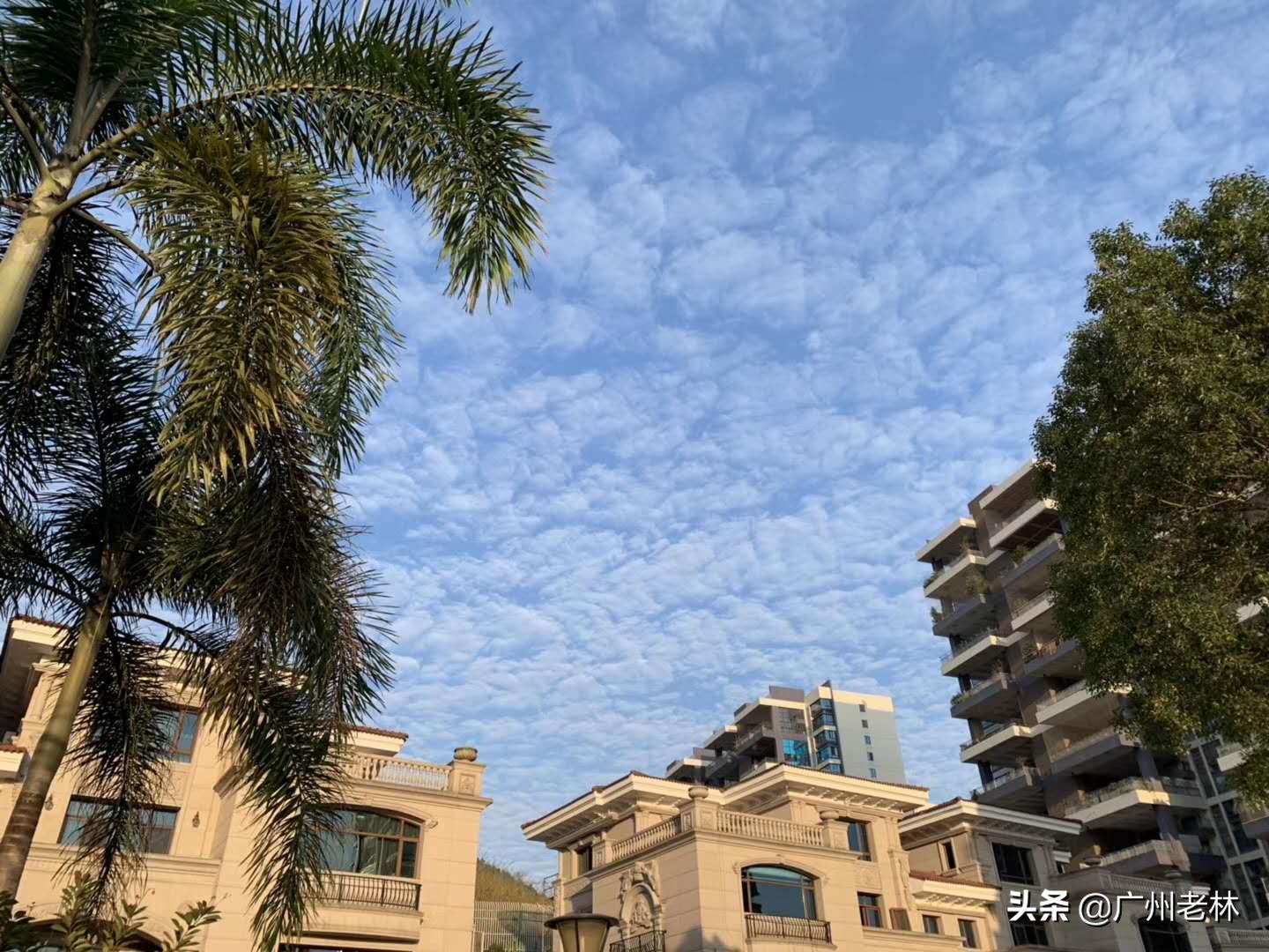 广州增城热门学校,增城五大名校