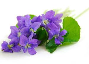 壹壹生态养殖,壹壹生态鱼介绍