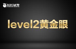 level2主力资金有用吗,level2资金流向准吗