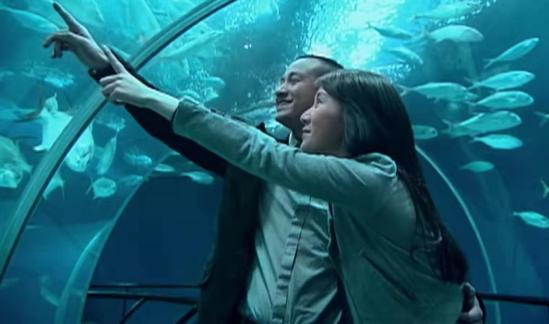 十年后再看《蜗居》发现自私的小贝，才是“三观最正”的那个人