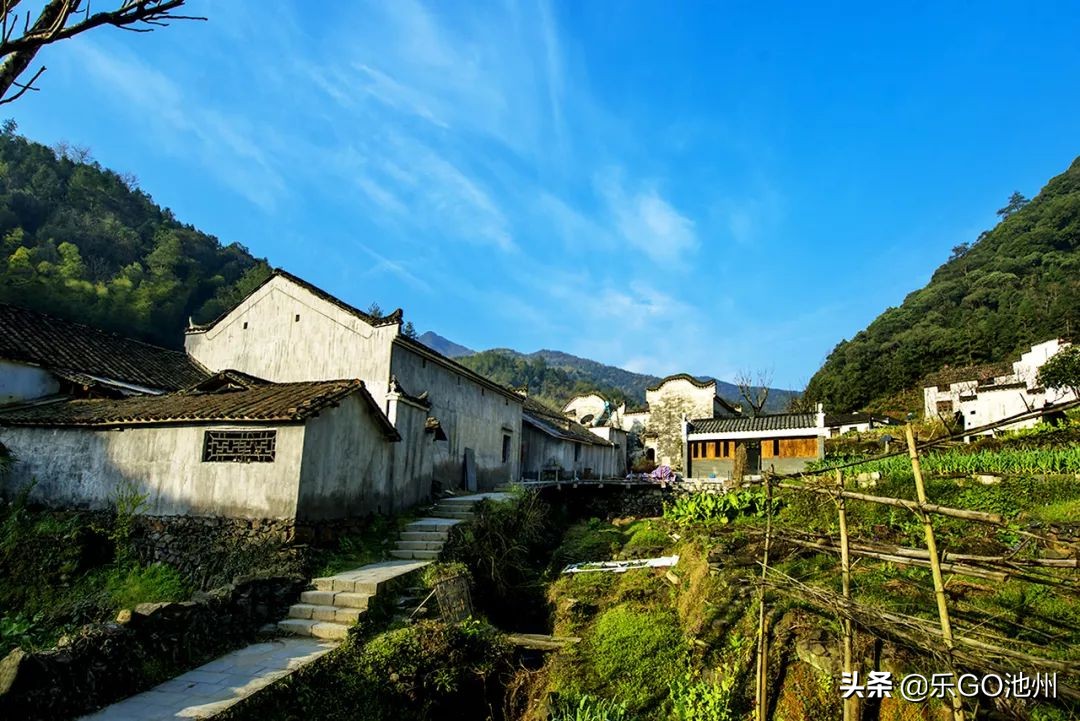 牯牛降直播间回放,石台县牯牛降直播间