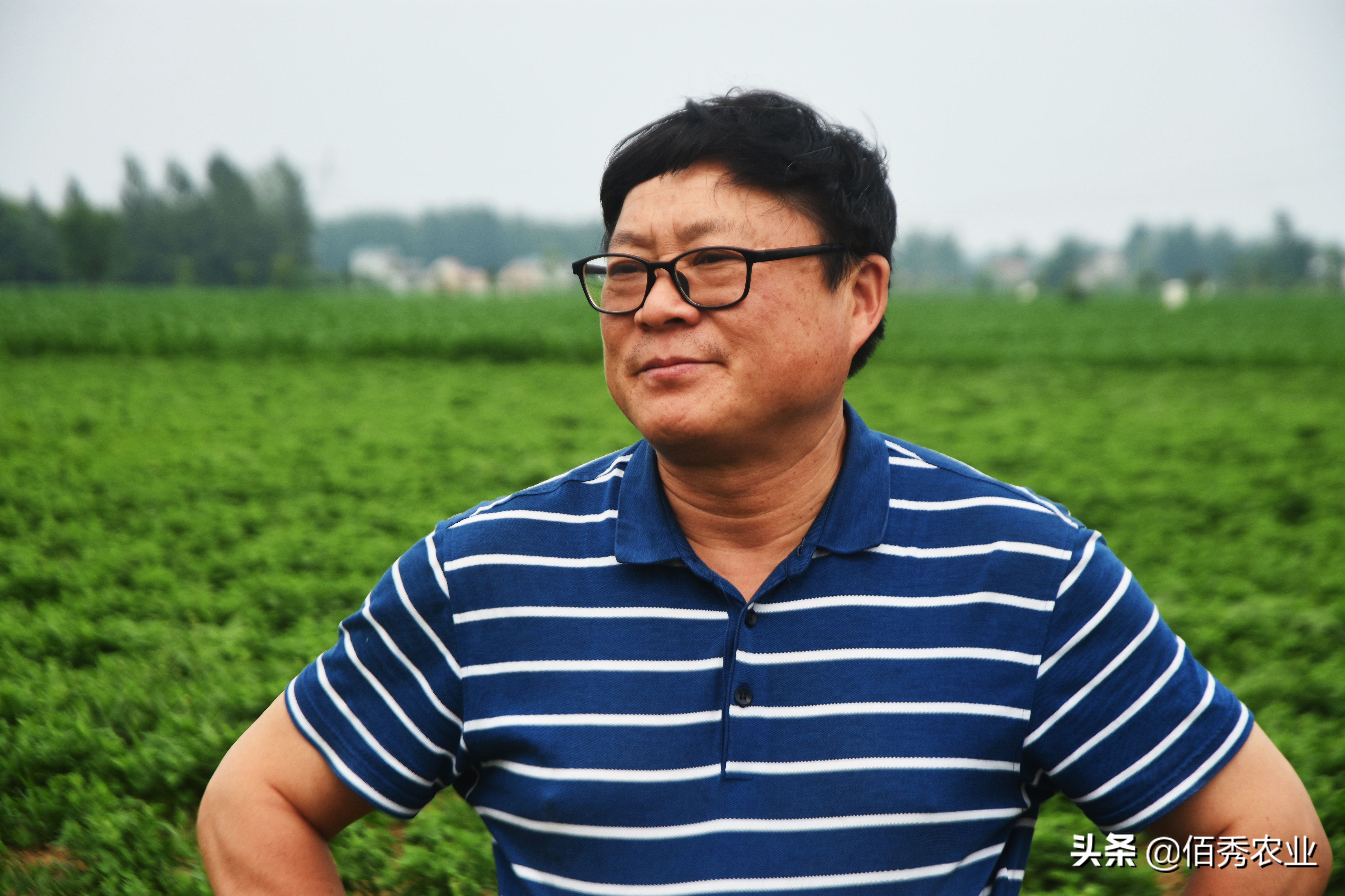 农村人怎么创业致富门路有哪些,2023年致富带头人都有什么专业