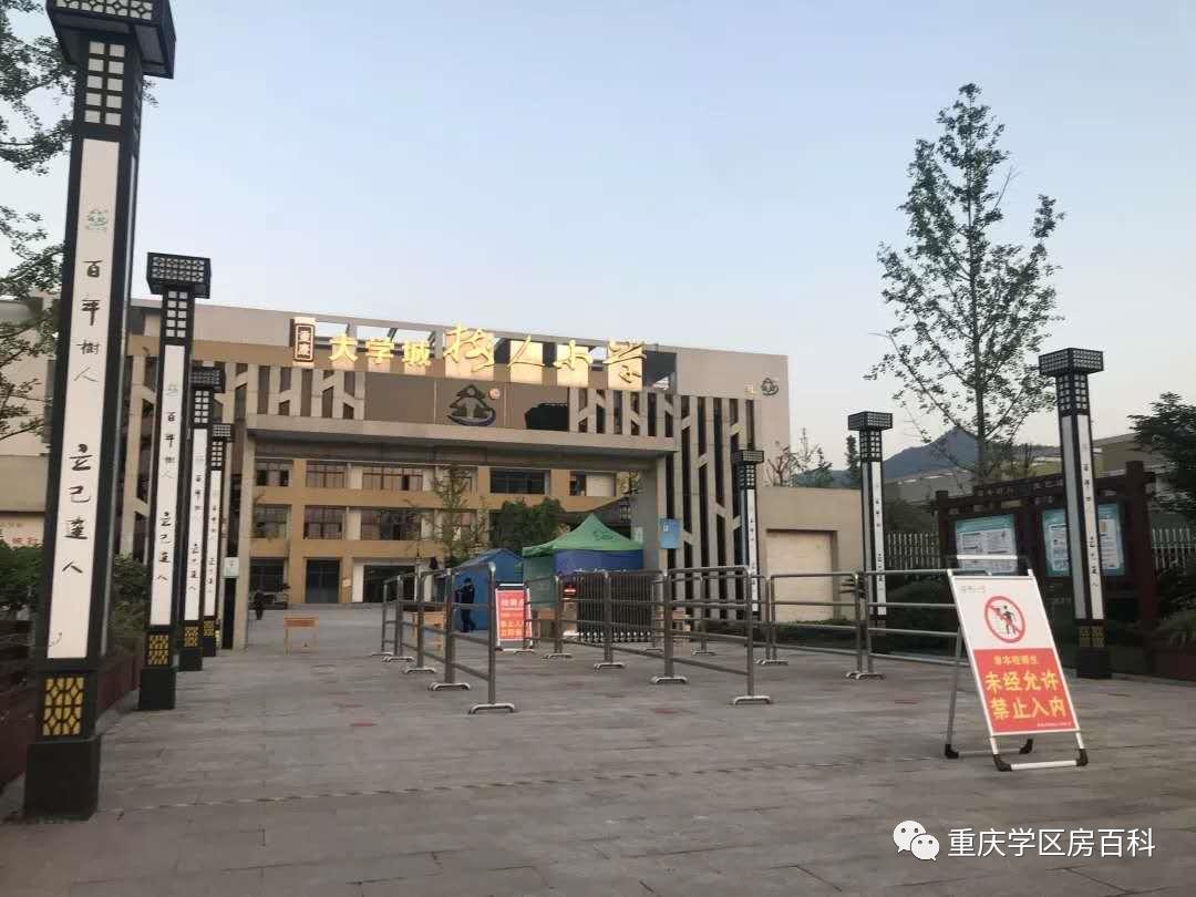 树人小学到底有多少分校,重庆市树人小学有几个分校