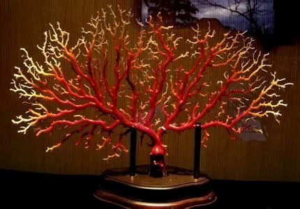 甄嬛传太后赏赐给华妃步摇片段,甄嬛第一次的赏赐都有什么