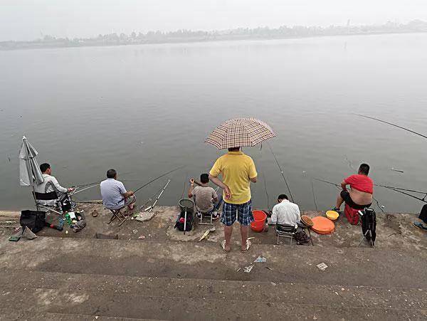 上海钓鲫鱼,一天钓几十斤鲤鱼咋办