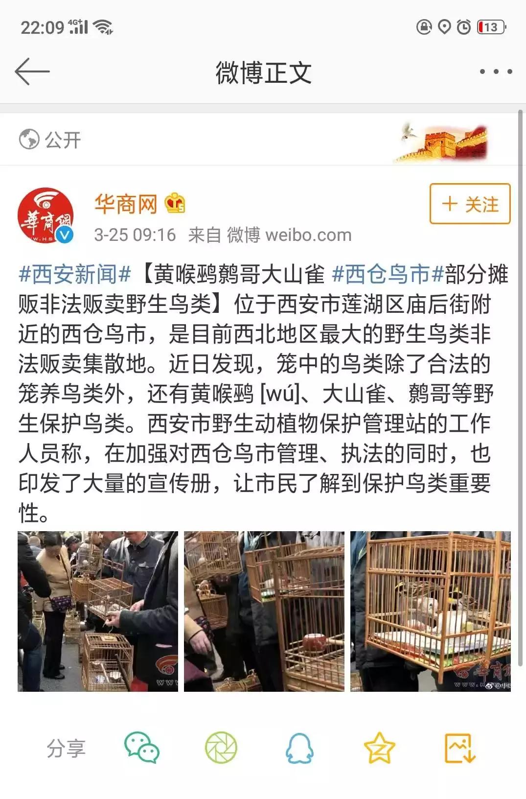 涉黄、买卖野生动物?原味*裤内**?从万能的淘宝,到万能的闲鱼