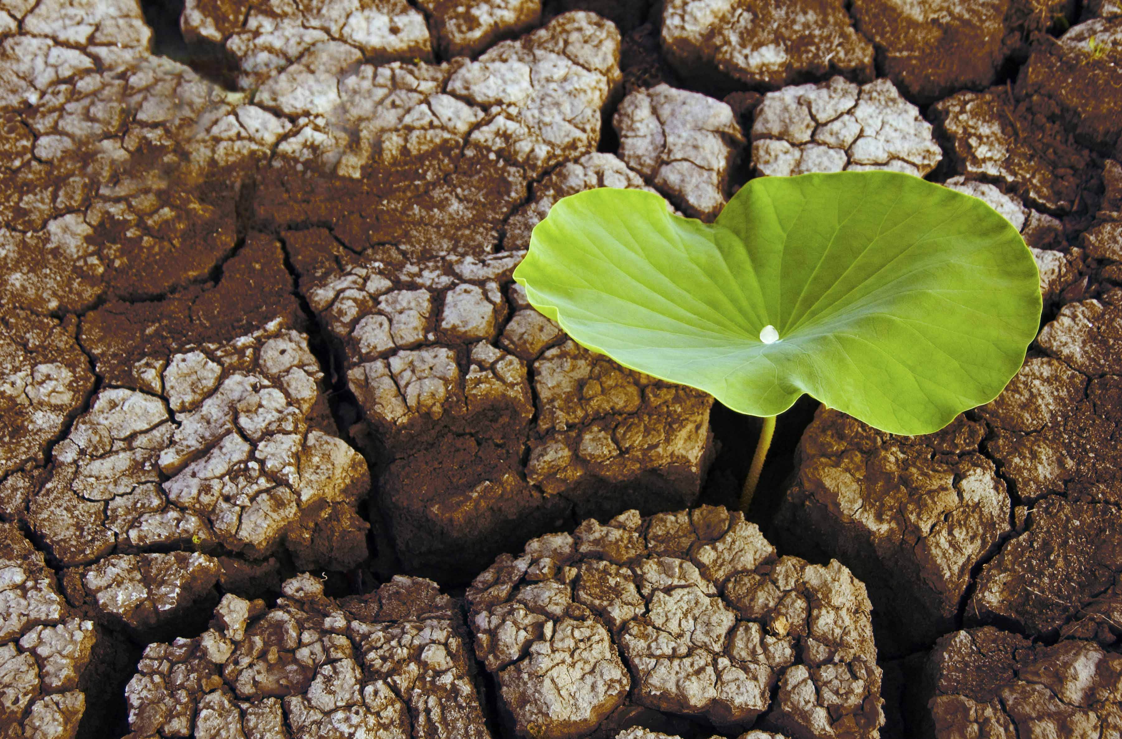 互联网创业7大基本点,互联网创业商业模式的前景