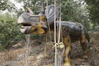 58抢花都志惠农场+玻璃桥套票惊险横跨268米更有环球飞车项目