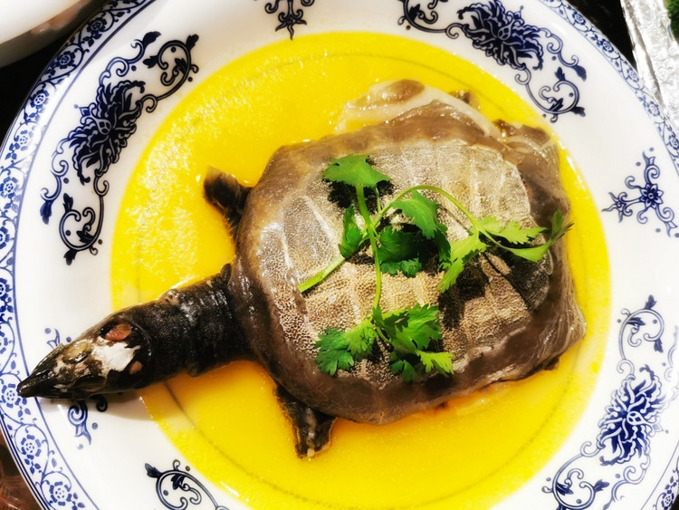 茅山宝盛园周边游玩,茅山宝盛园所有游乐设施