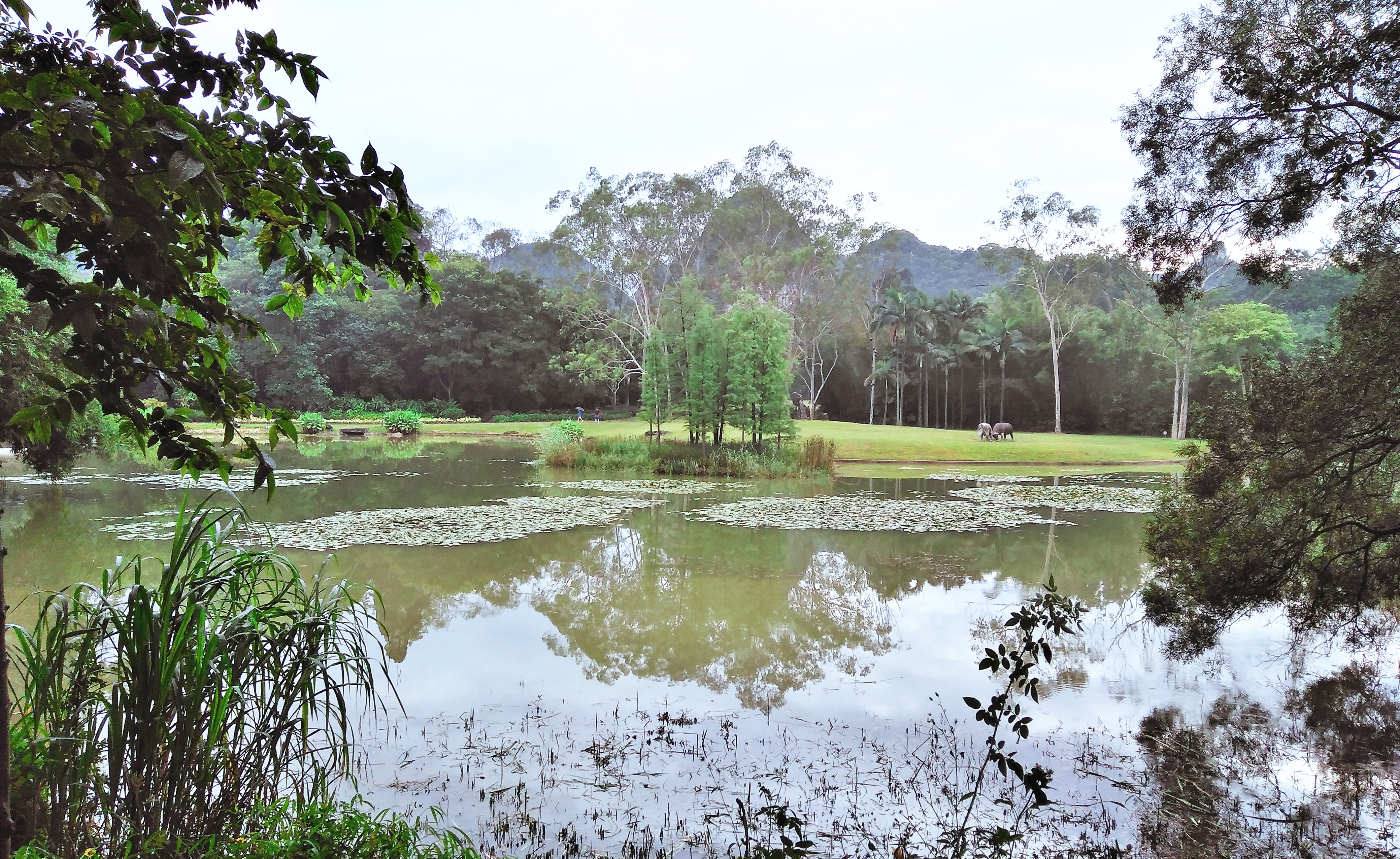 龙潭胜境蓬莱仙境,柳州冬天龙潭公园风景