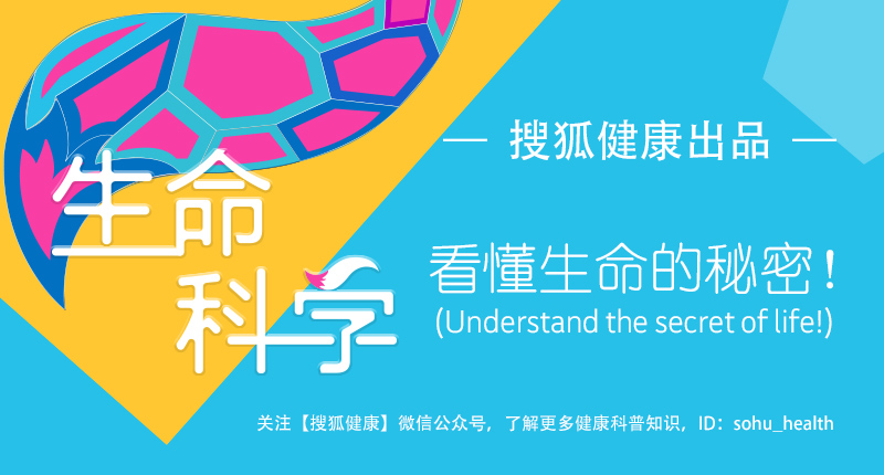 fda批准的减肥药物,fda批准的jak抑制剂