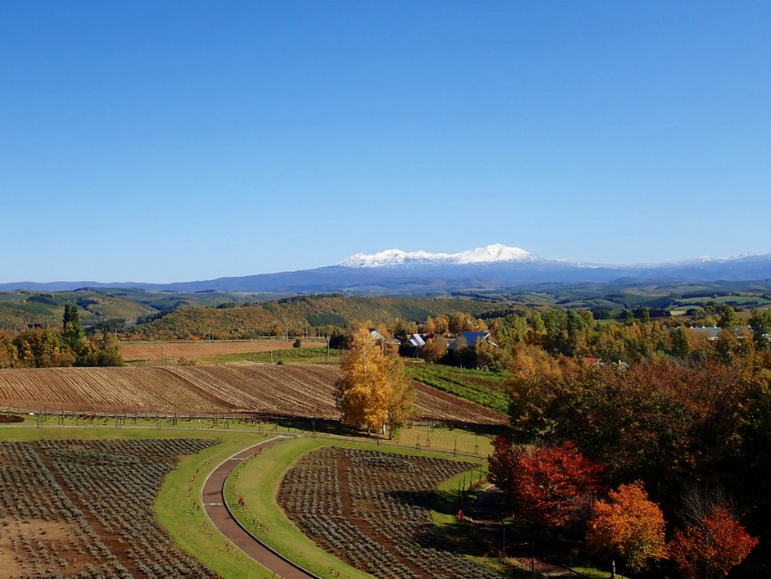 北海道登别到美瑛町需多久,日本北海道美瑛川的雪景