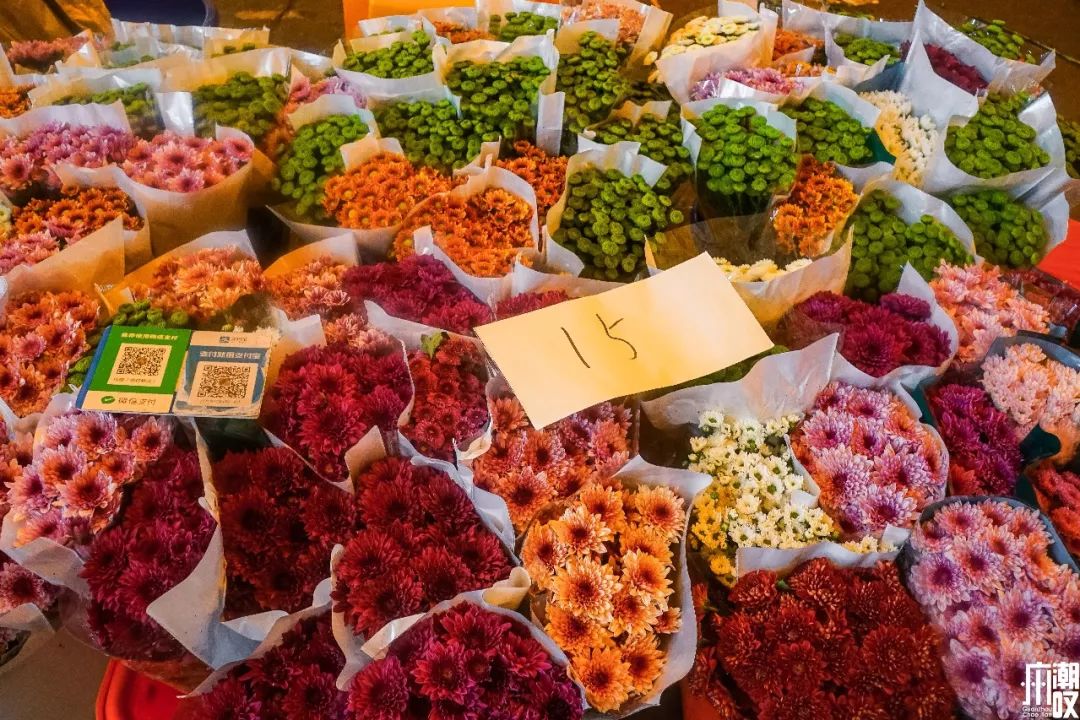 广州最大的花卉市场有哪些店,广州最便宜的花卉交易市场