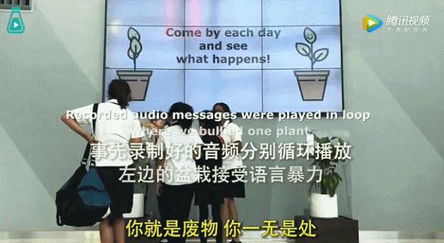 最有能量的语言是什么,为什么有能量的语言要经常说