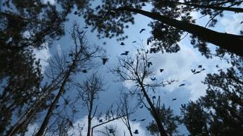 恕我直言综艺完整版在线,恕我直言综艺完整版