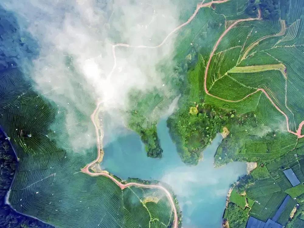 杭州高国飞公示,高国飞西湖区