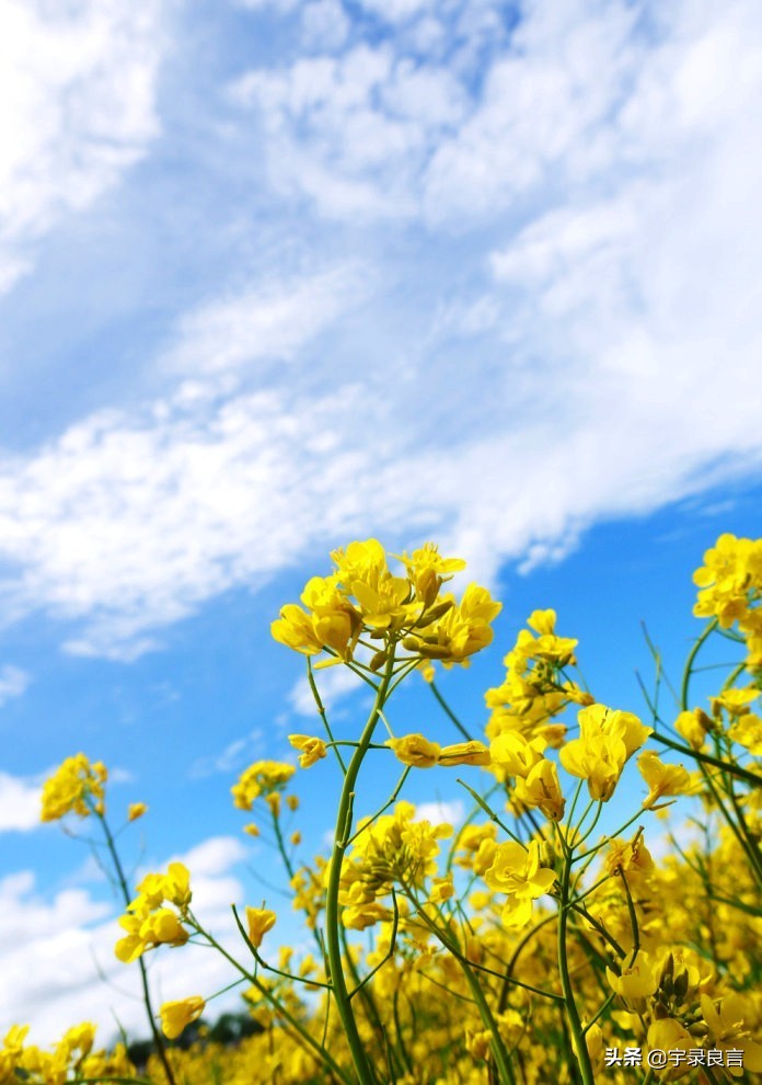 很有深意的句子，有些东西，并不是越浓越好，要恰到好处
