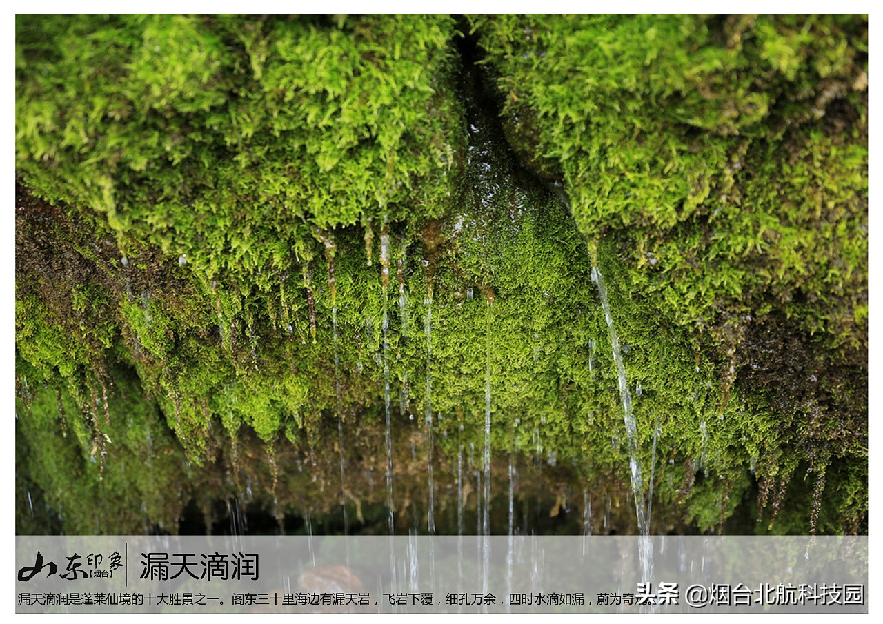 烟台游玩十大必去景点,烟台最坑人的三个景点
