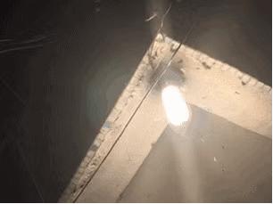 梅雨季节爆发的飞蚁，带着特有的“部落习俗”入侵南方