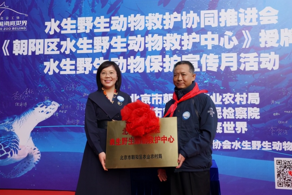 守护海洋生命，富国海底世界在行动