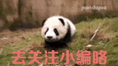 11大类99个0投入靠谱副业适合上班族宝妈（一）问卷类2021