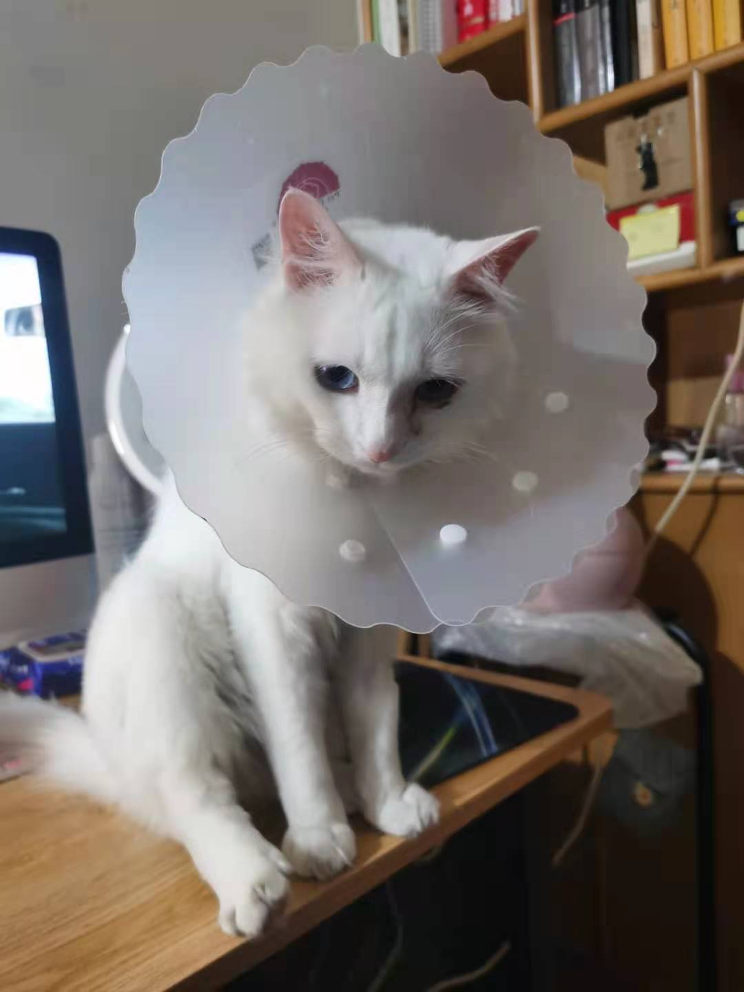 一个小细节能省几百块,一个小细节让你省上千块