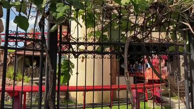 疫情期间去埃及旅游的亲历,疫情期间从深圳直飞洛杉矶体验