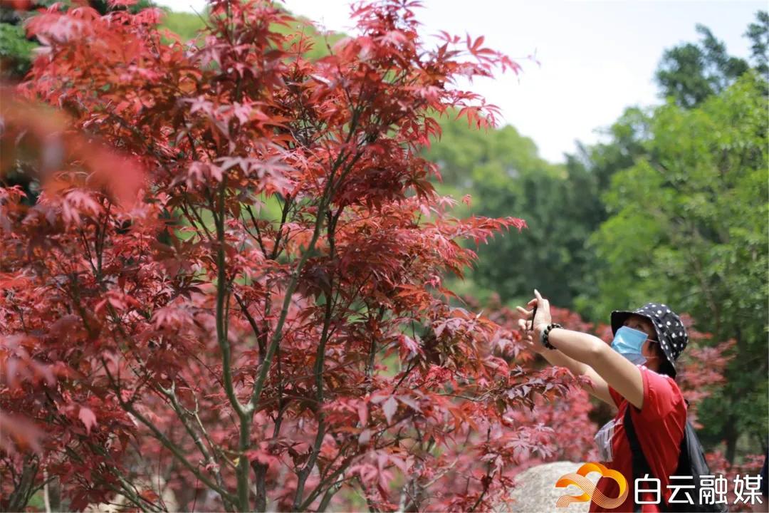 阳光正好来场户外,阳光正好去爬山