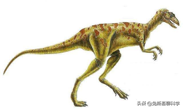 恐龙灭绝的原因为什么恐龙会灭绝,5亿多年前的恐龙为什么会灭绝