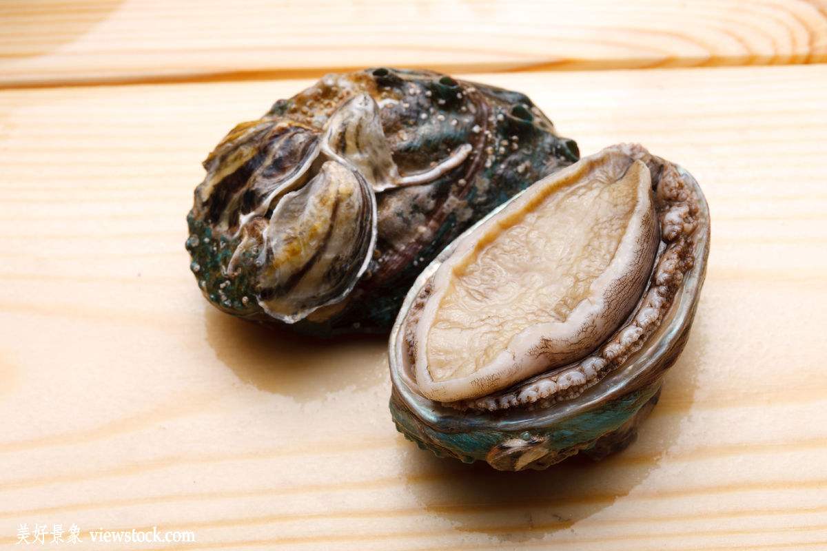 九头鲍九尾鲍，究竟谁才是真的鲍？