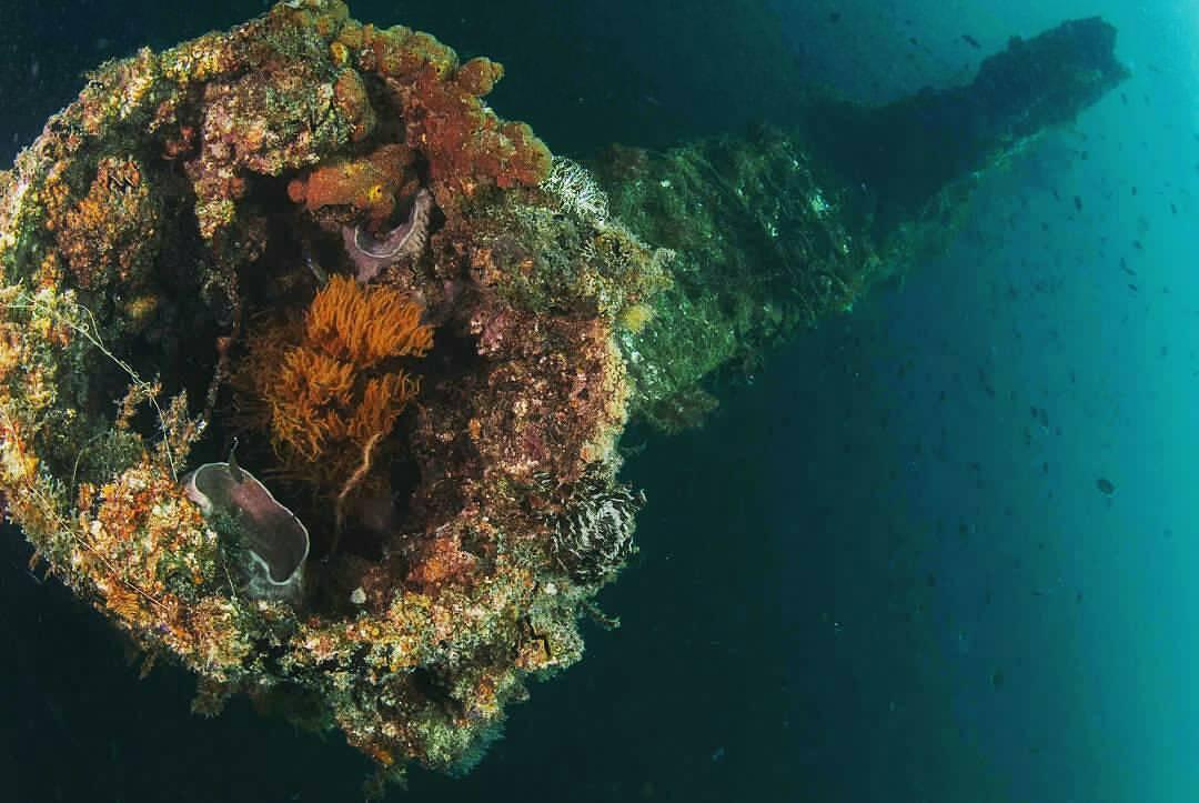 五大想走就走的免签证海岛游,性价比最高的免签海岛游