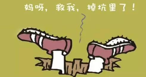 餐饮加盟坑了怎么索赔,餐饮加盟的坑