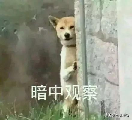 试点学校名单,省级标杆学校