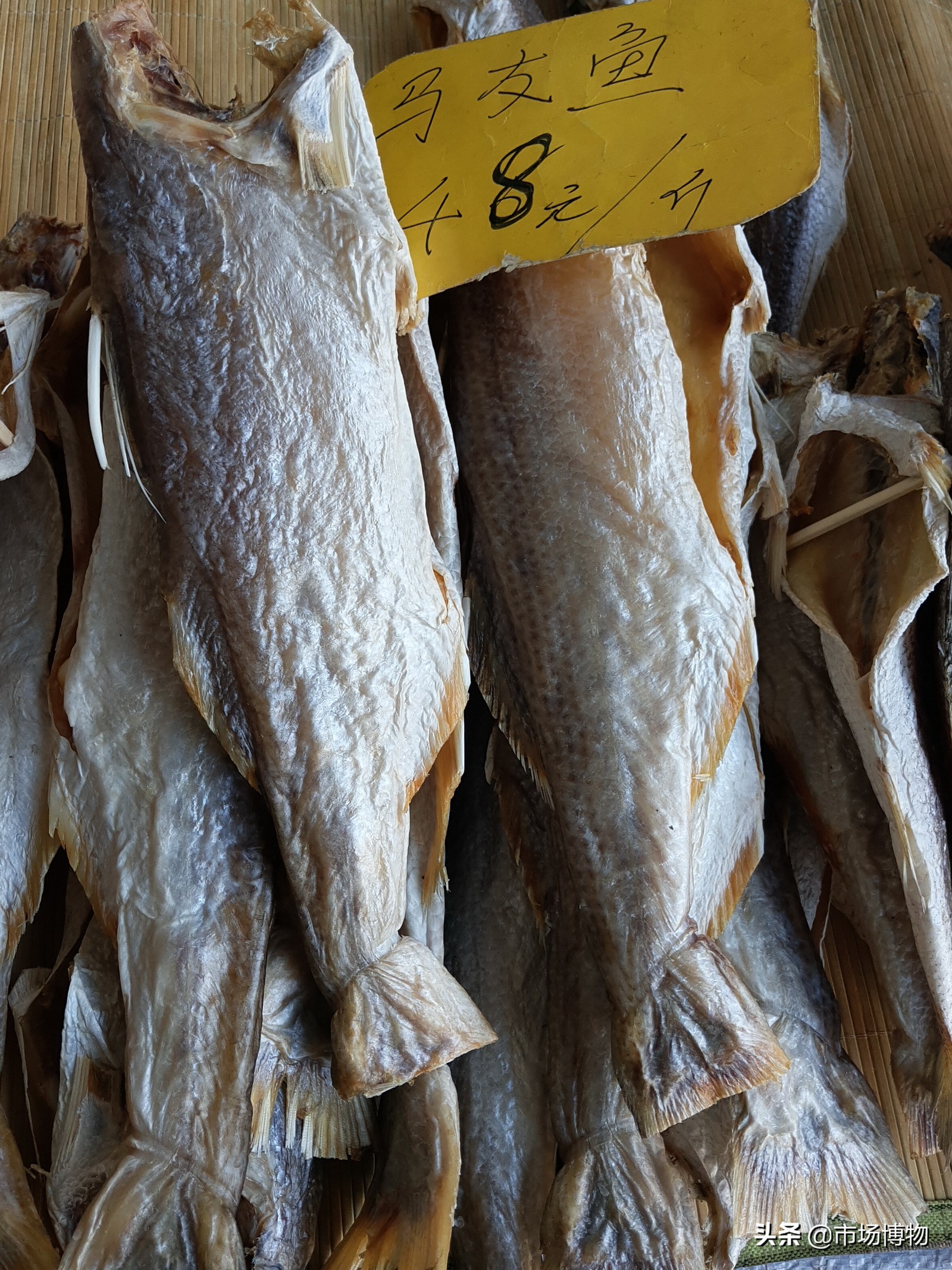 夏天晒咸鱼苍蝇很多怎么办,晒鱼干被苍蝇下蛆虫怎么处理